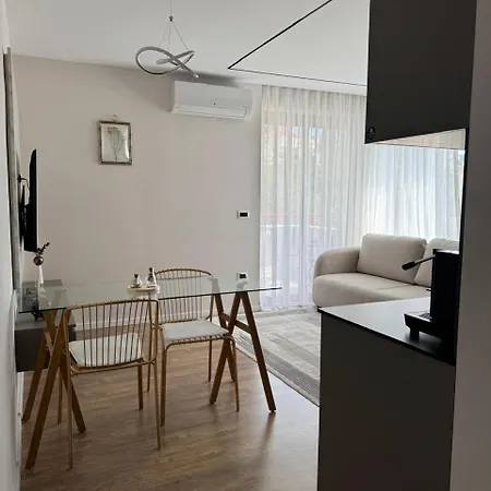 Aplus Apartment